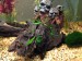 IMG_0525.JPG (2.73 MiB) Viewed 42004 times java fern babies