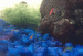Shrimpies 1.gif