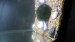 20170115_121642.jpg