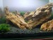 20170316_075958.jpg
