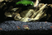 IMG_0947-ANIMATION.gif