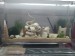 20170816_163407.jpg (5.06 MiB) Viewed 3313 times New tank by my window.