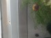20170909_121900.jpg