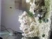 20171202_145616.jpg