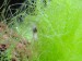 IMG_20180328_224526.jpg