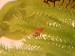 20180602_170033.jpg