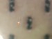 20190118_165620.jpg