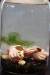 IMGP1315.JPG
