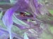 B77D0429-2BAB-4437-87D8-2573B23ABBE2.jpeg