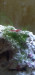 Screenshot_20220718-015335_Gallery.jpg (542.37 KiB) Viewed 16412 times Screenshot_20220718-015335_Gallery.jpg