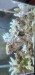 Screenshot_20220718-015355_Gallery.jpg (691.62 KiB) Viewed 16412 times Screenshot_20220718-015355_Gallery.jpg