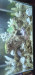 Screenshot_20220718-015418_Gallery.jpg (711.21 KiB) Viewed 16412 times Screenshot_20220718-015418_Gallery.jpg