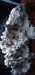 Screenshot_20220722-001210_Gallery.jpg (684.89 KiB) Viewed 16412 times Screenshot_20220722-001210_Gallery.jpg