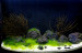IMG_20230331_202135_edit_313924977389076.jpg (5.14 MiB) Viewed 36872 times IMG_20230331_202135_edit_313924977389076.jpg