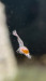 IMG_4522.jpeg