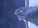 IMG_4622.jpeg