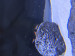 IMG_4623.jpeg