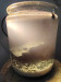 Cloudy 2 gallon jar - cloudiness + snails (upper right).jpg