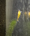 IMG_8894.jpeg