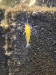 IMG_8931.jpeg