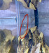 IMG_8886.jpeg