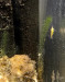 IMG_8893.jpeg